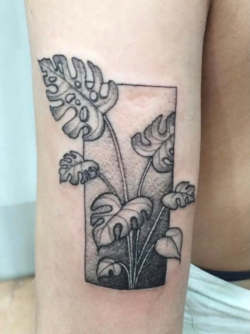 Monstera leaves dotwork tattoo