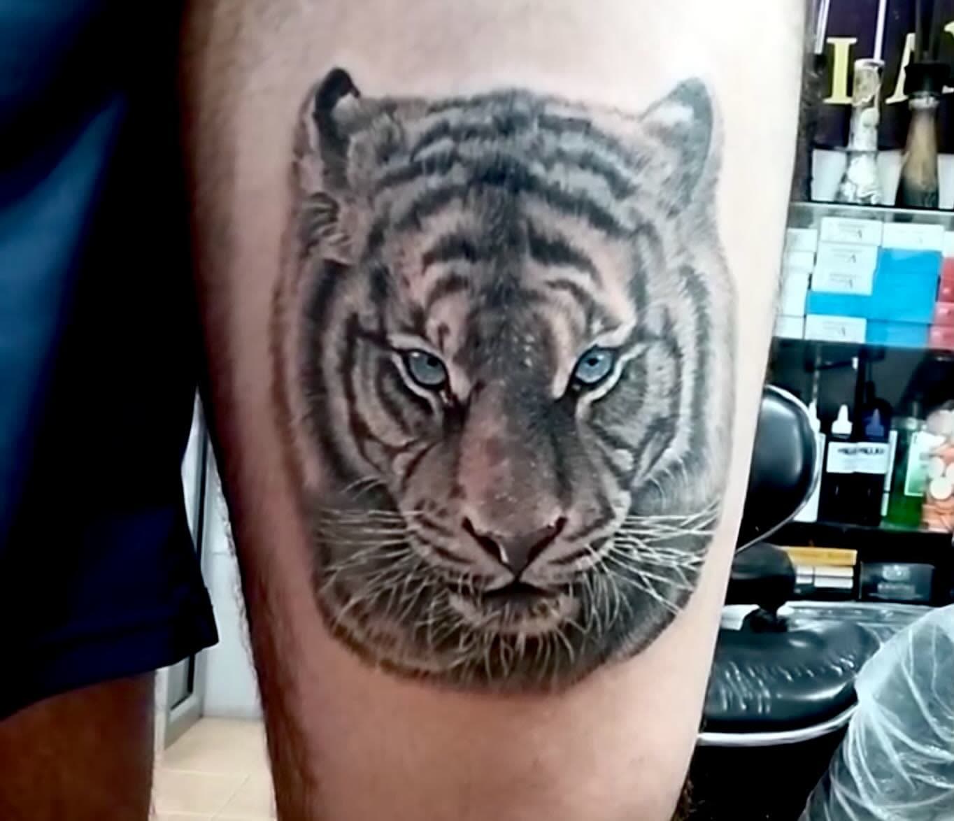 Realistic tiger face with blue eyes, bamboo tattoo